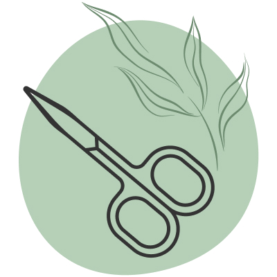 Icon-2.jpg